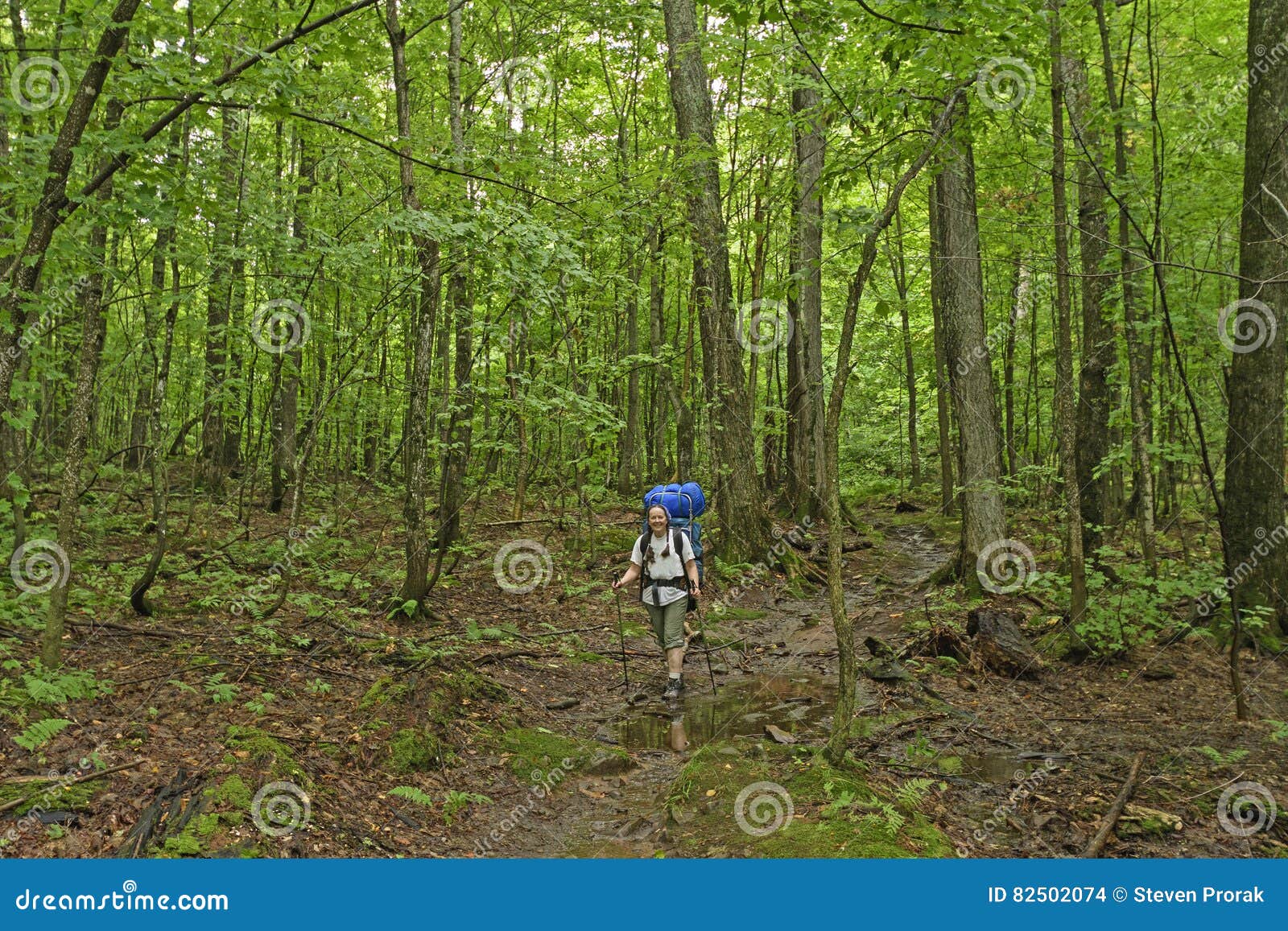 trekking through a verdant forest
