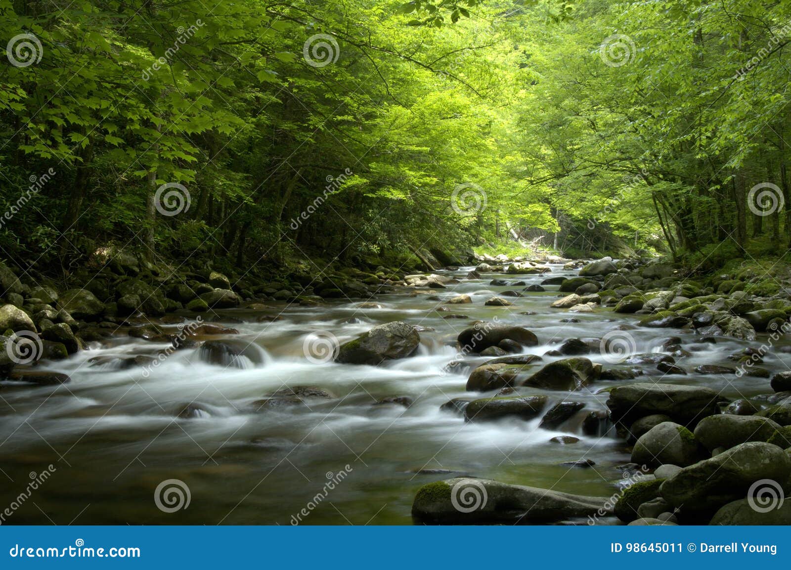 tremont at great smoky mountains national park, tn usa