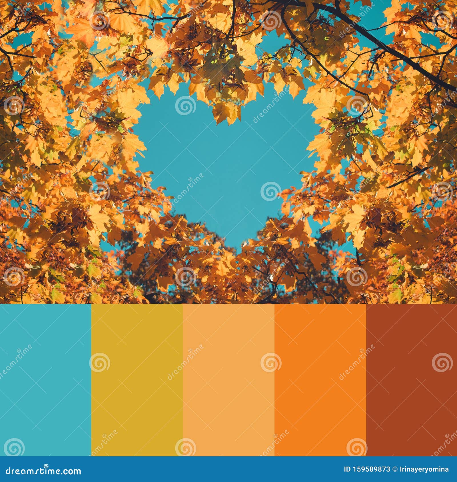 Trend Fall Color Palette With Autumn Leaves And Sky Collage With Natural Autumn Colors Swatch Stock Image Image Of Vintage Collage