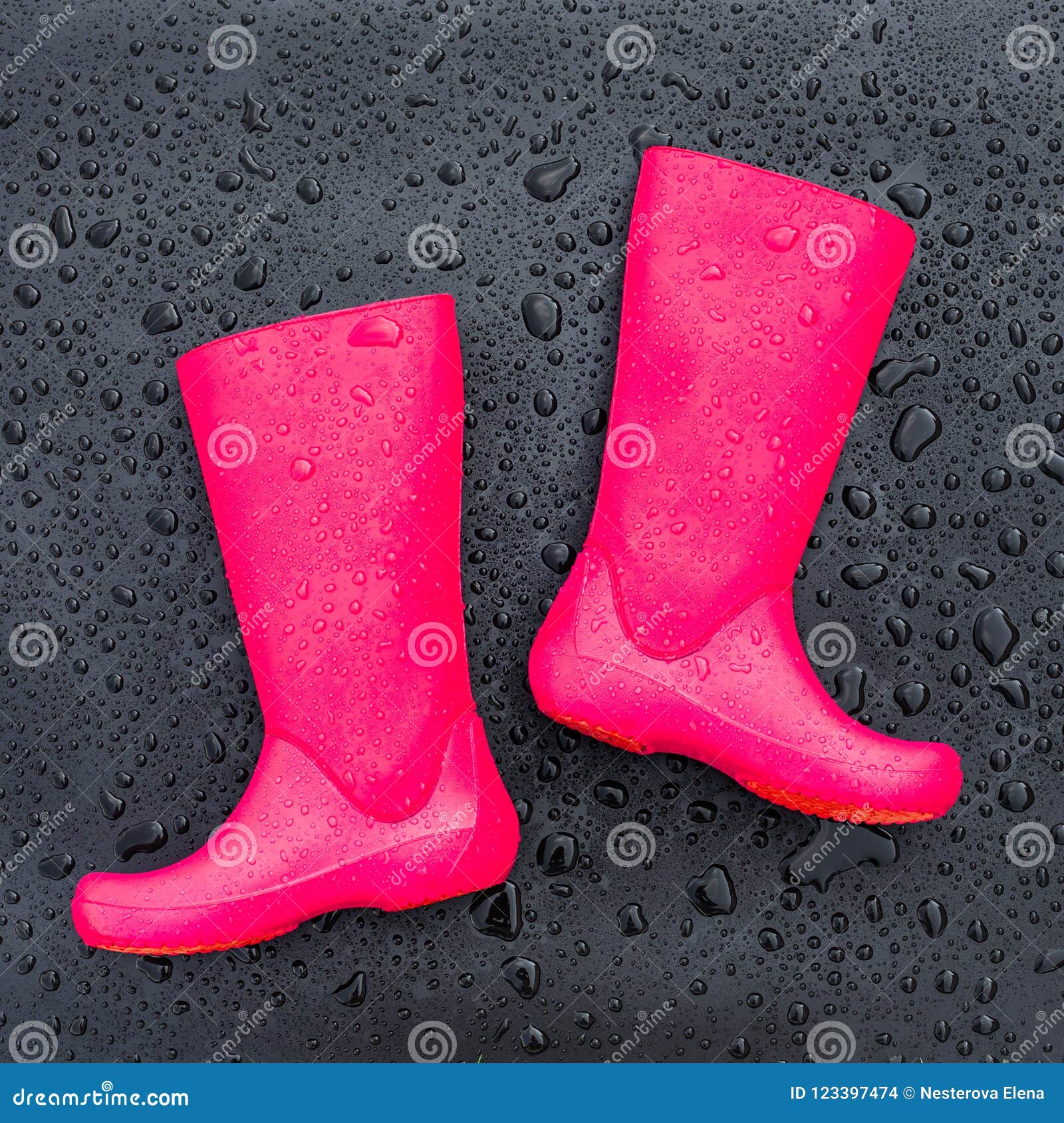 trendy wellington boots