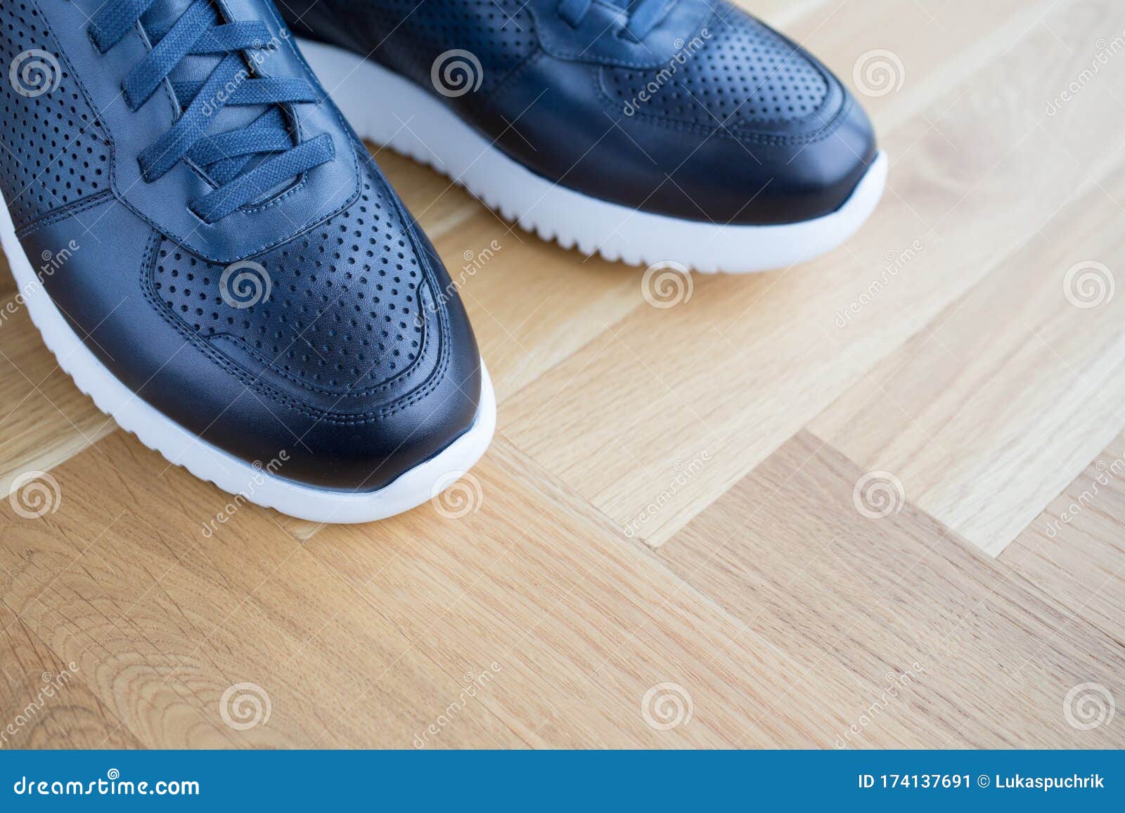 Blue Luxury Leather Sneakers Stock Image - Image of beauty, pair: 174137691