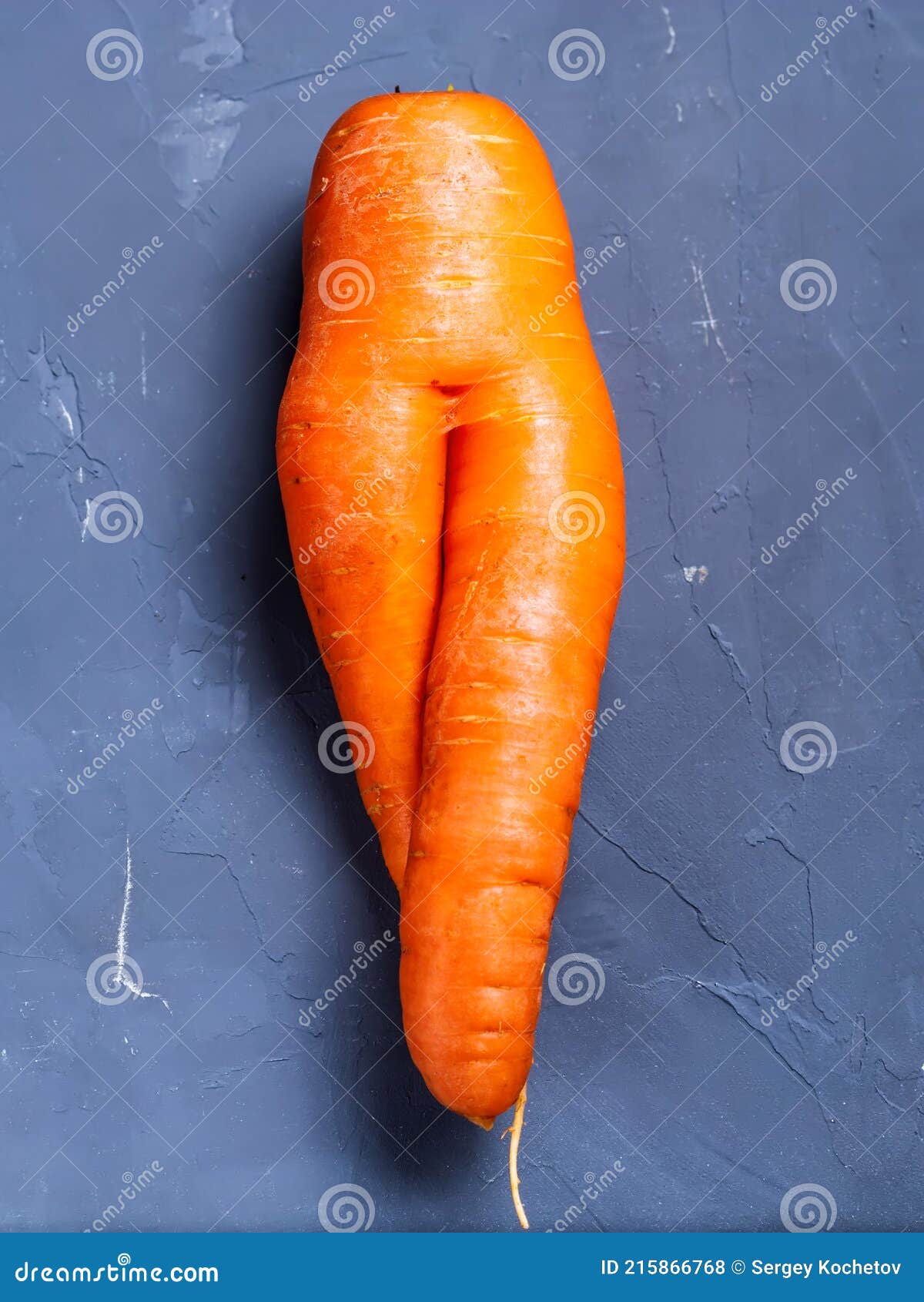 Trendy Ugly Organic Carrot that Looks Like Female Legs Stock Photo - Image  of vitamin, root: 215866768