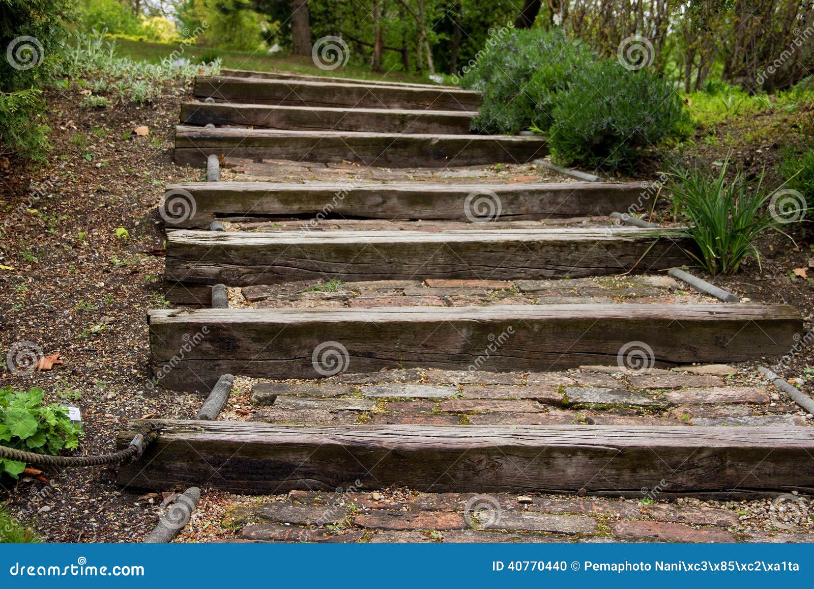 Treppe Hergestellt Vom Holz Im Park Stockfoto Bild Von Park Treppe 40770440