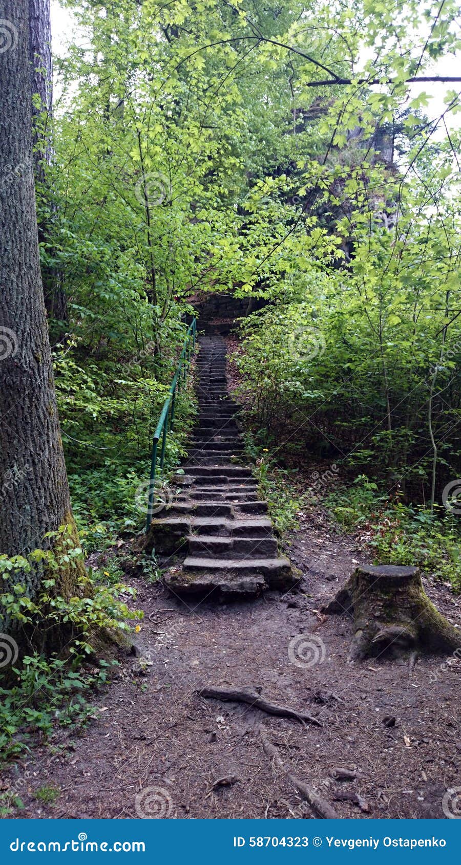 Treppe im Wald stockbild. Bild von notwendigkeiten, wald - 58704323