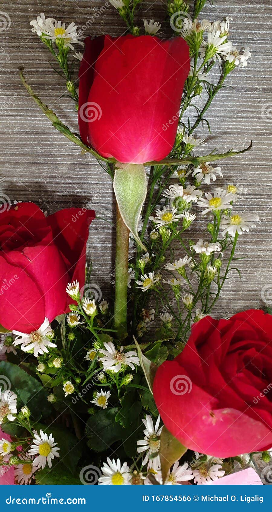 Tres Bellas Rosas Rojas Para Mi Esposa Shobel Nuestro Sétimo Aniversario De Bodas Foto de archivo - Imagen de tres, boda: 167854566 Tres Bellas Rosas Rojas Para Mi Esposa Shobel Nuestro Sétimo Aniversario De Bodas Foto de archivo - Imagen de tres, boda: 167854566
