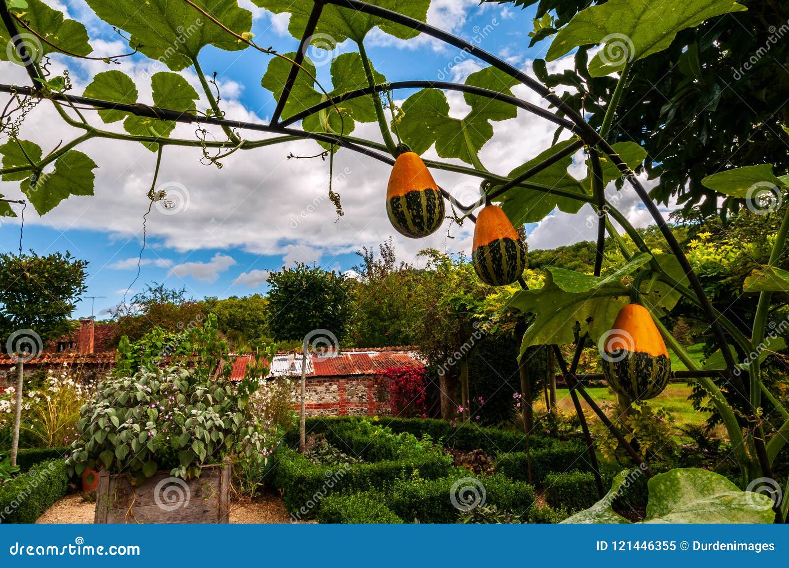 yeso tos gasolina Tres Calabazas Ornamentales Enmarcan El Contexto De Un Huerto Emparedado  Viejo Inglés Imagen de archivo - Imagen de imagen, contexto: 121446355