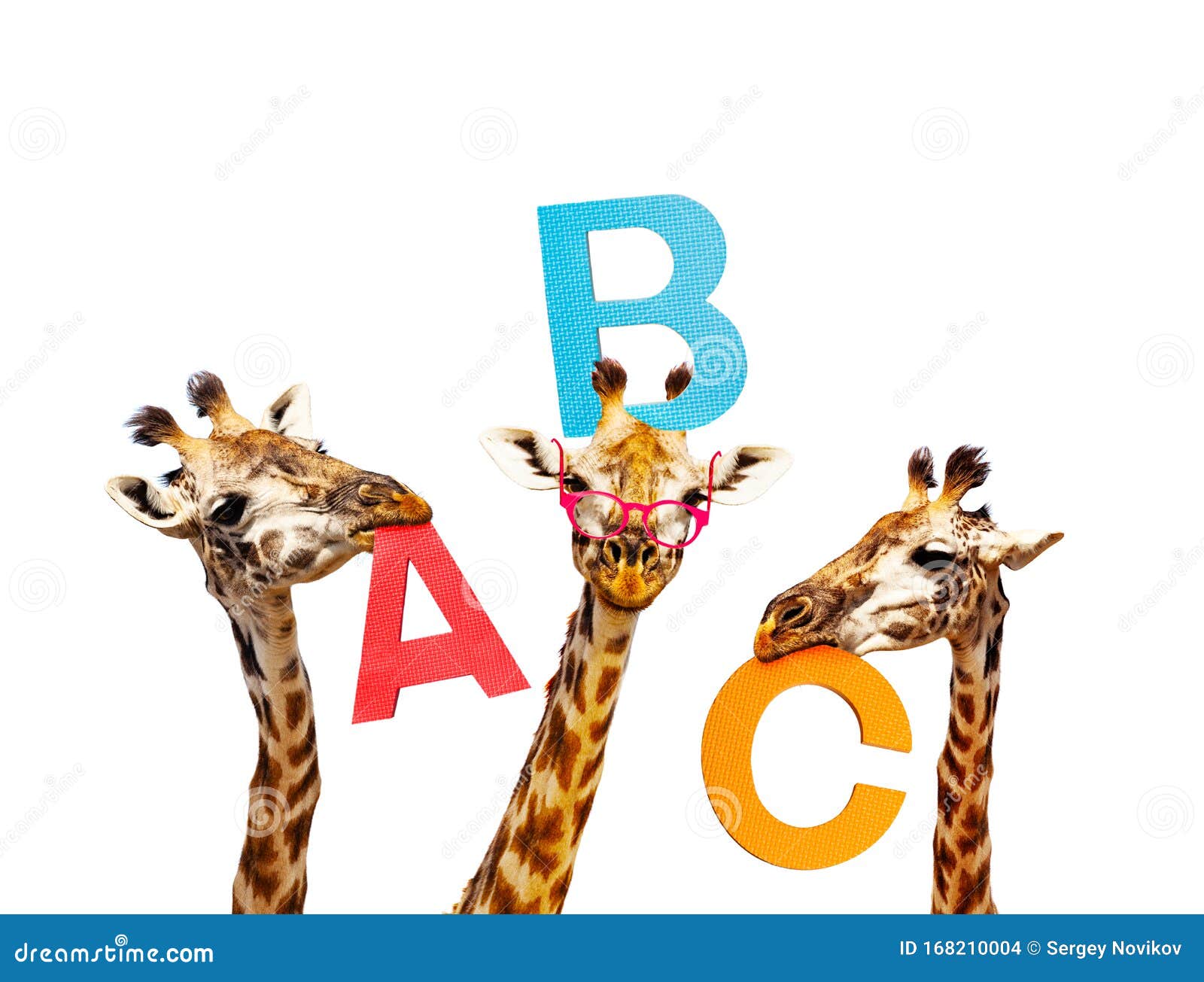 Tres Jirafas Aprendiendo Letras En Portadas De Abc Foto de archivo - Imagen  de cabritos, blanco: 168210004