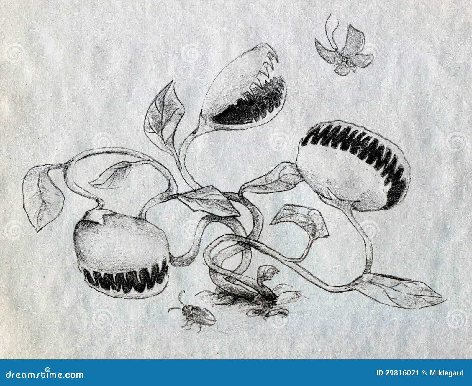 Busqueda De Las Plantas Carnivoras Stock De Ilustracion