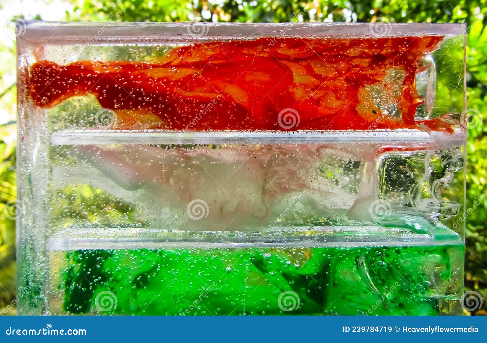 Tri Colour Saffron White Green Stock Image Image of saffron, colour