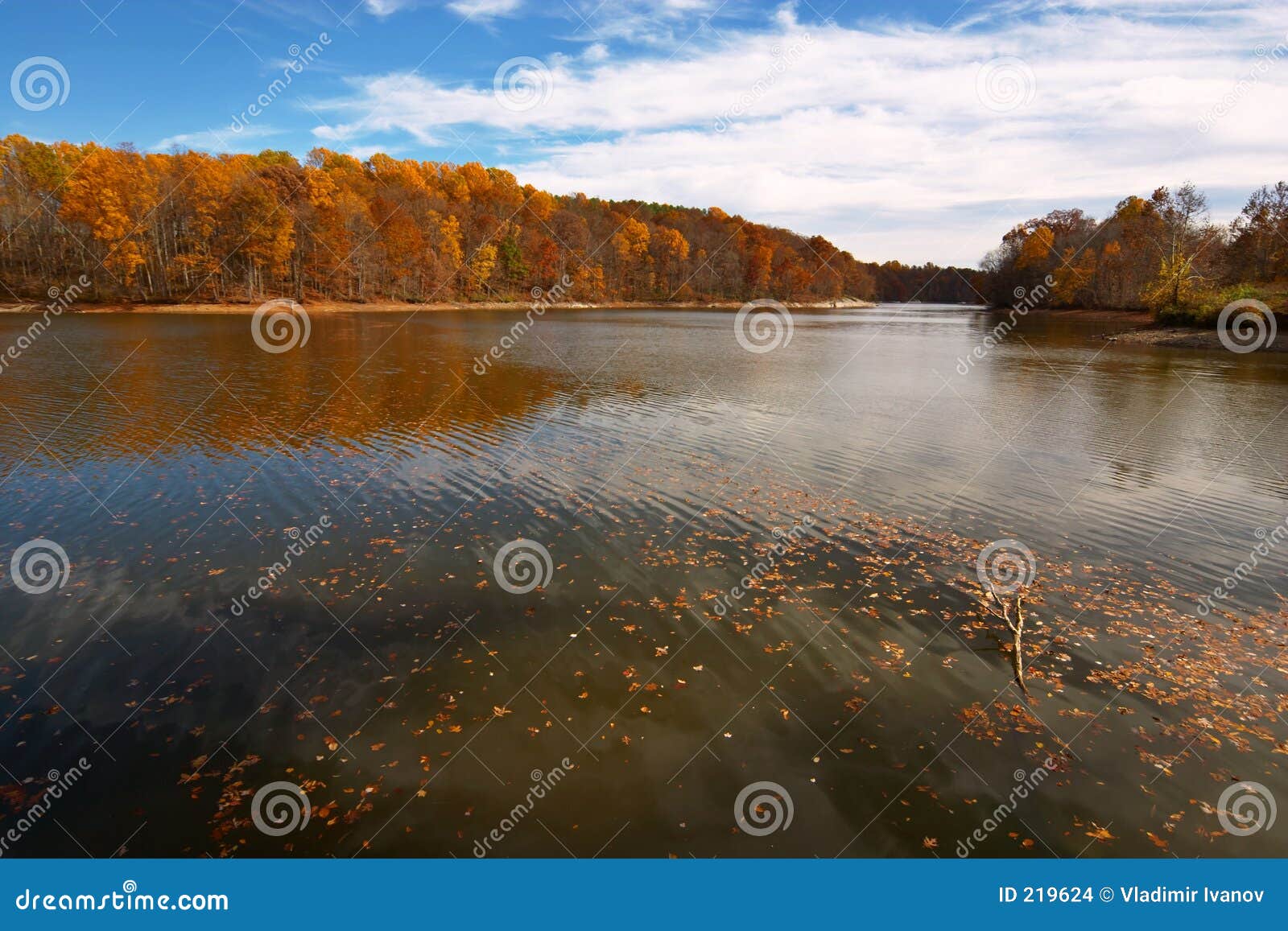 Triadelphia lake stock photo. Image of autumn, color, forest 219624