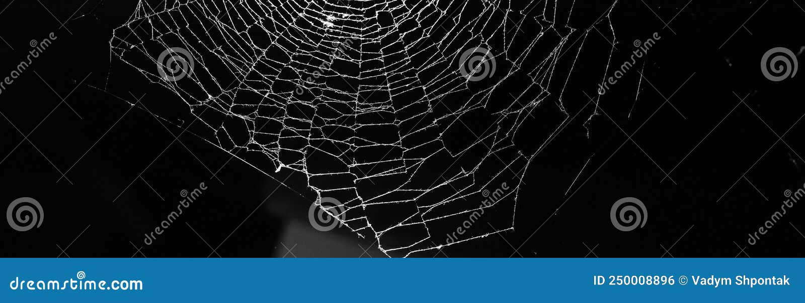 triangle horror cobweb or spider web  on black background,horizontal photo