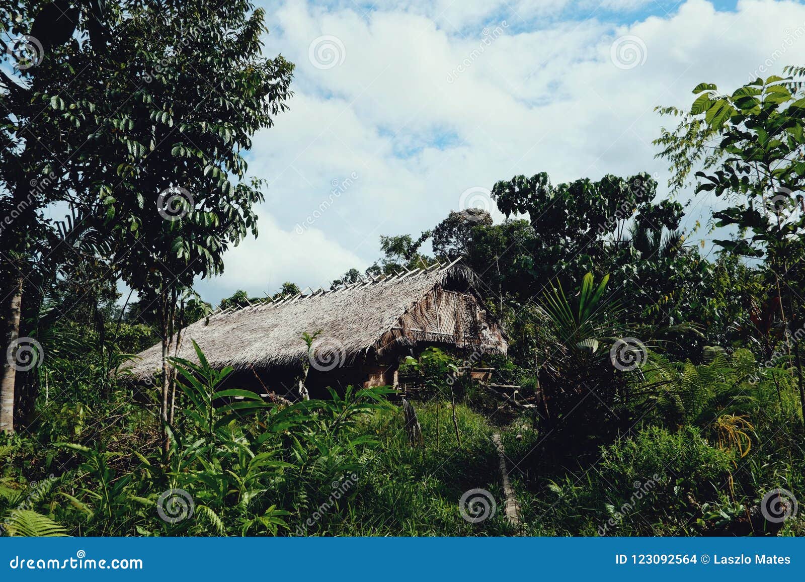 tribal mentawai island jungle home