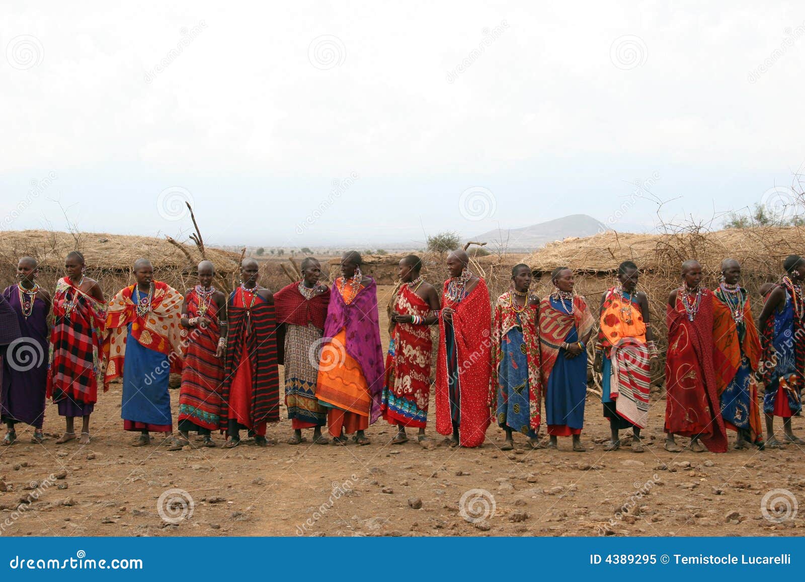 Tribe gathering editorial image. Image of bush, wildlife 4389295