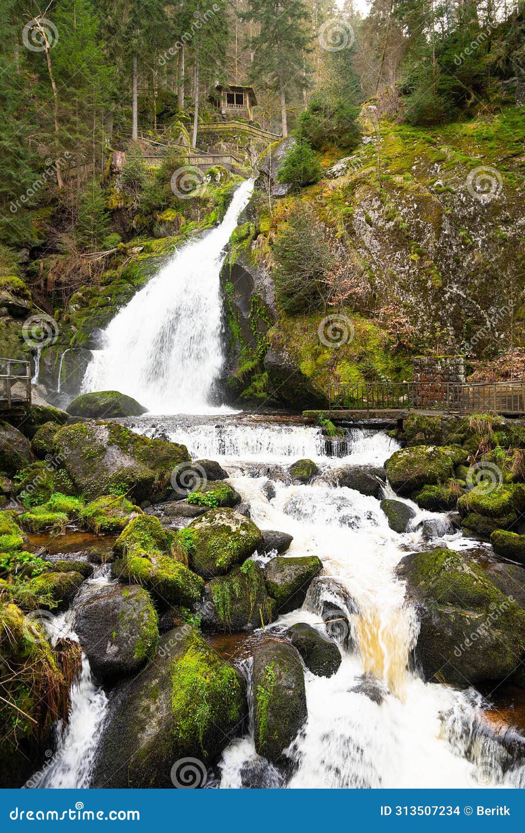 triberg waterfall in the black forest, highest fall in germany, gutach river plunges over seven major steps into the valley