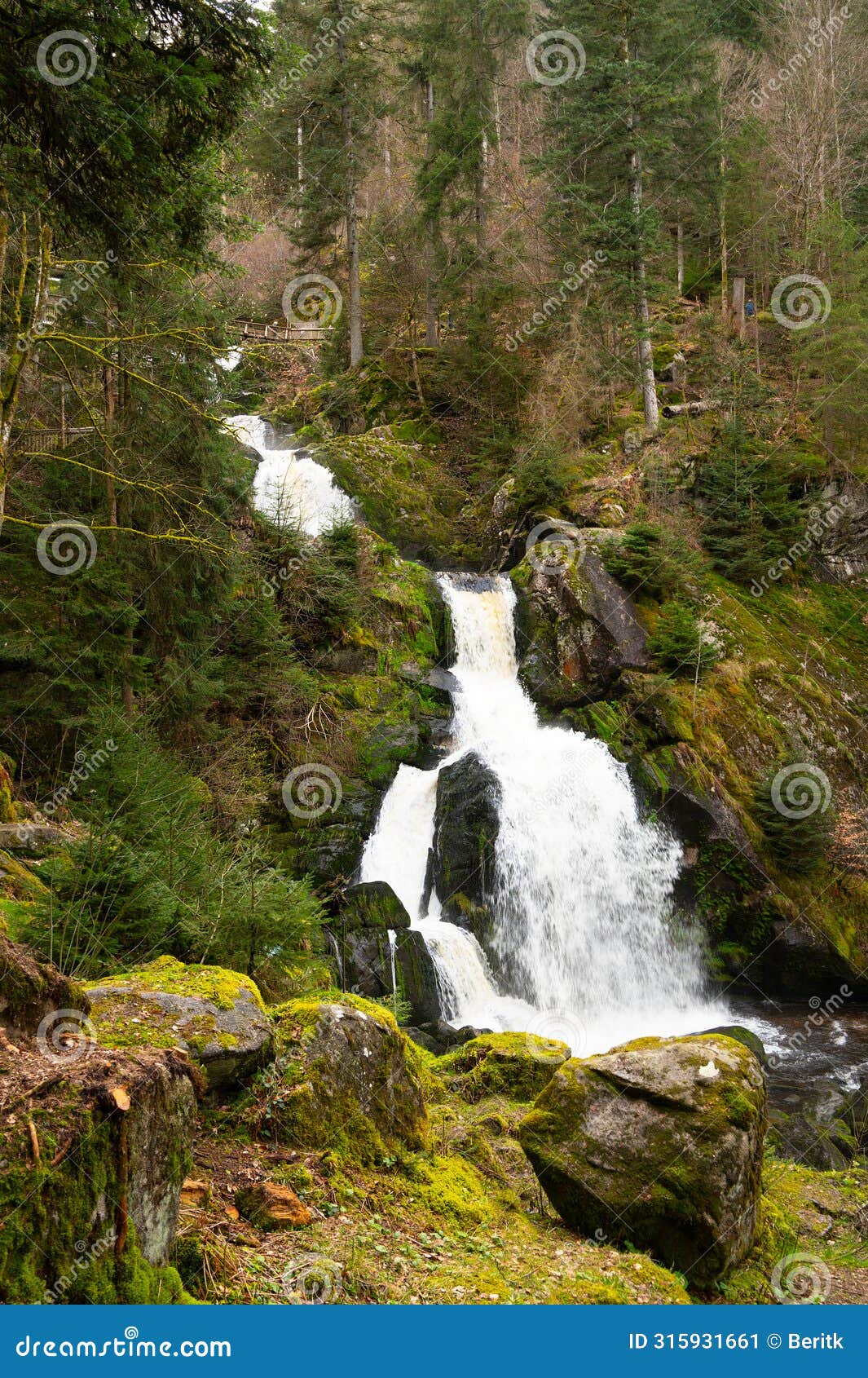 triberg waterfall in the black forest, highest fall in germany, gutach river plunges over seven major steps into the valley,