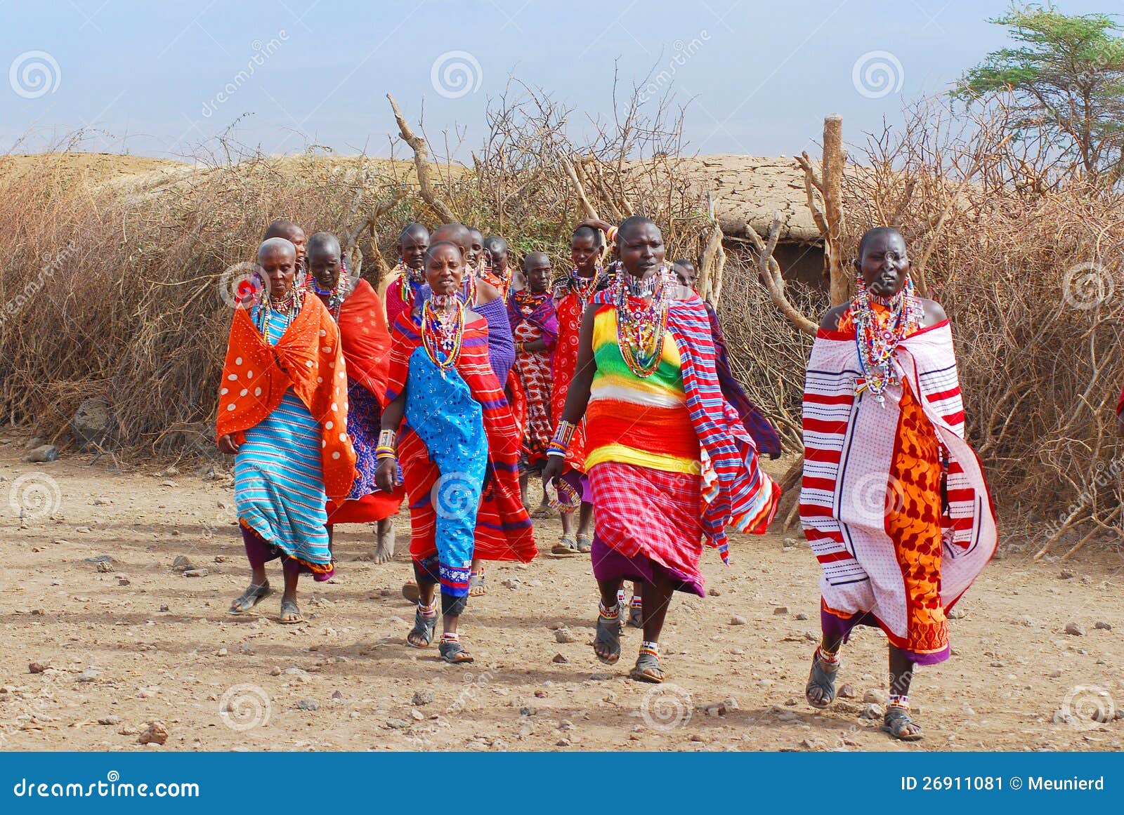 AMBOSELI, KENYA - OUTUBRO 13: O grupo de homens africanos não identificados do tribo do Masai prepara-se para mostrar uma dança tradicional do salto outubro em 13, 2011 no Masai Mara, Kenya. Estão nómadas e vivos em vilas pequenas.