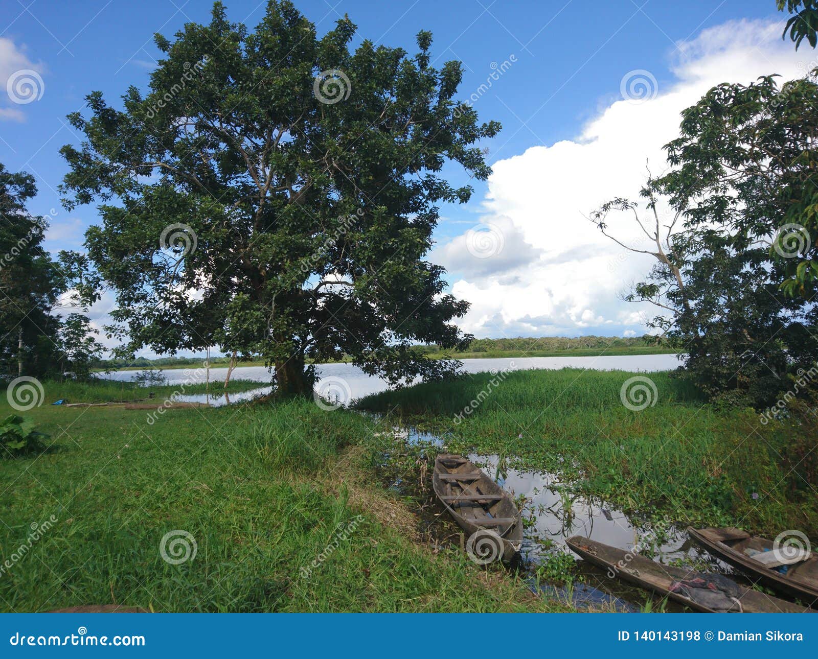 The Tributary of the Amazon River in Indiana Peru Stock Photo Image
