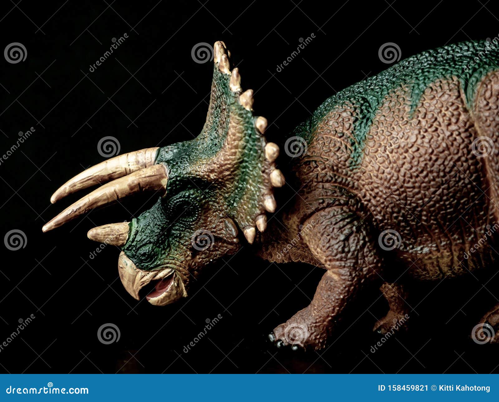 Triceratops Dinosaur sobre fondo negro