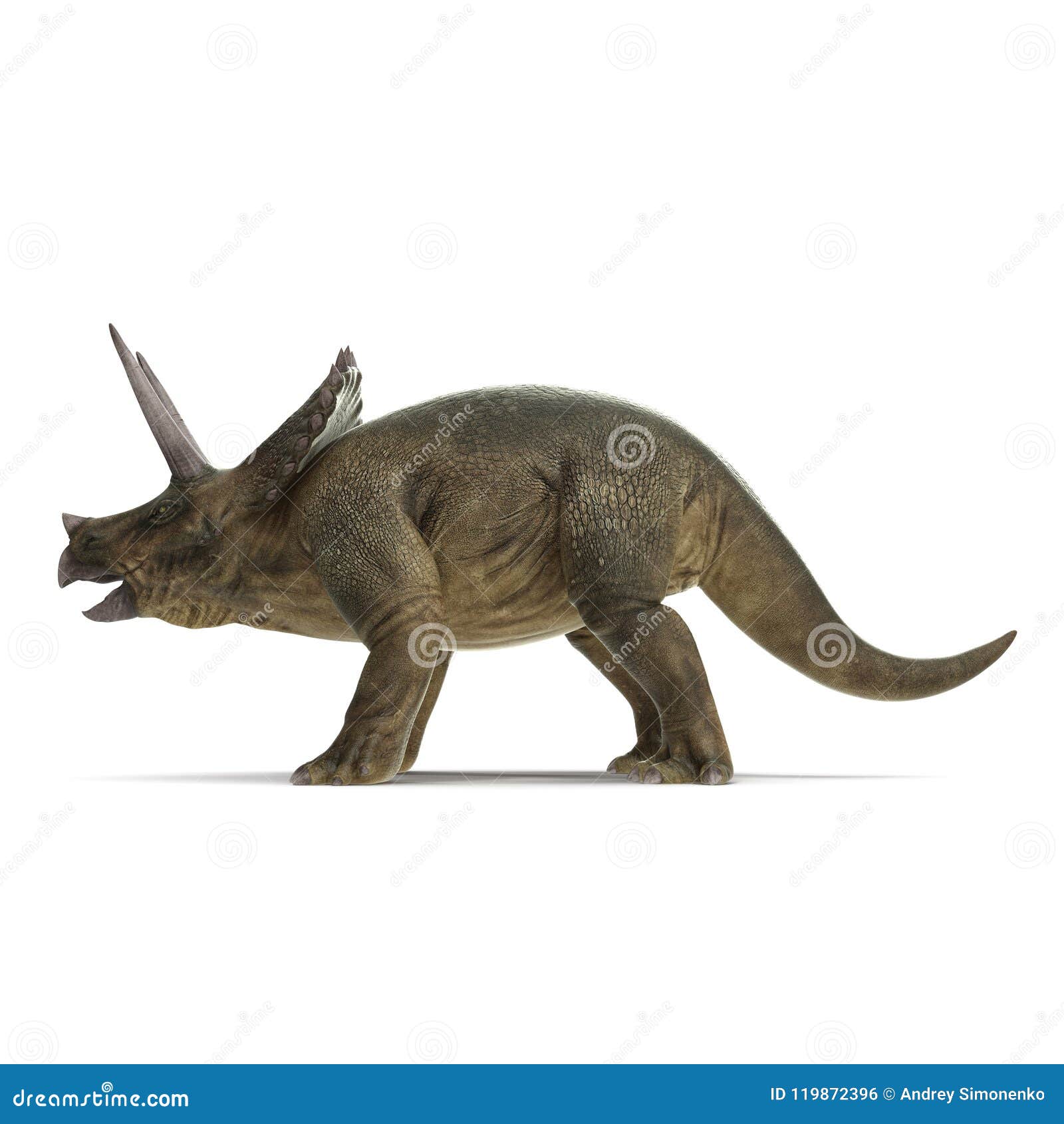triceratops view in 3d
