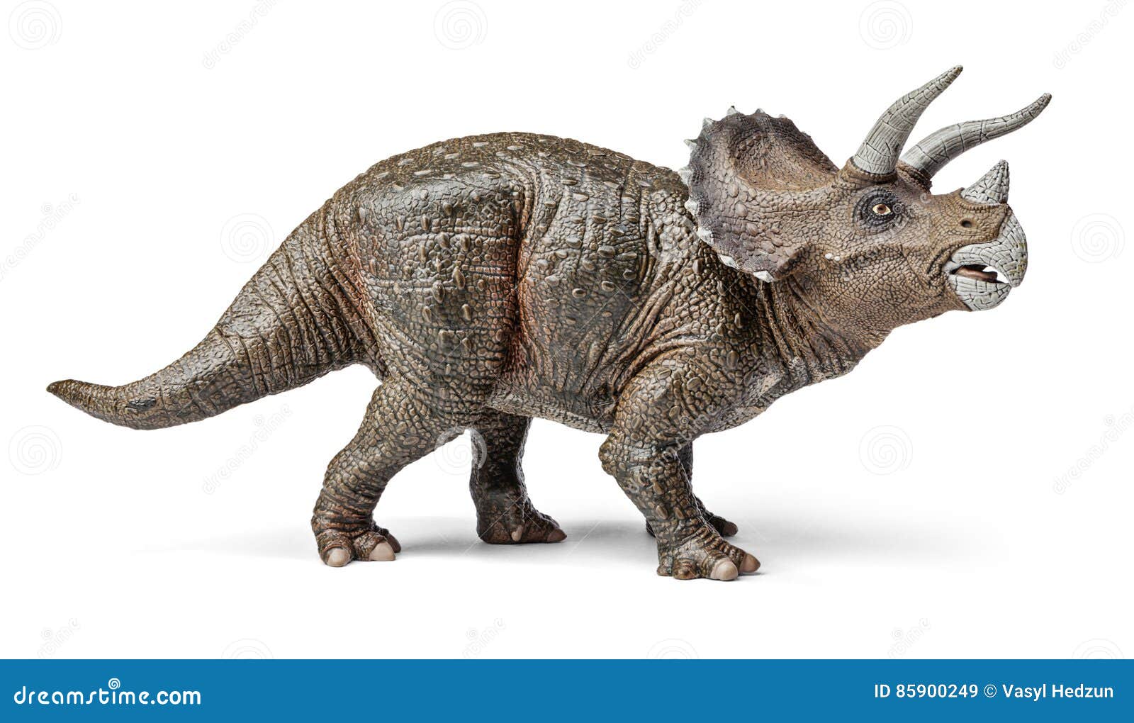 triceratops dinosaurs toy with clipping path.