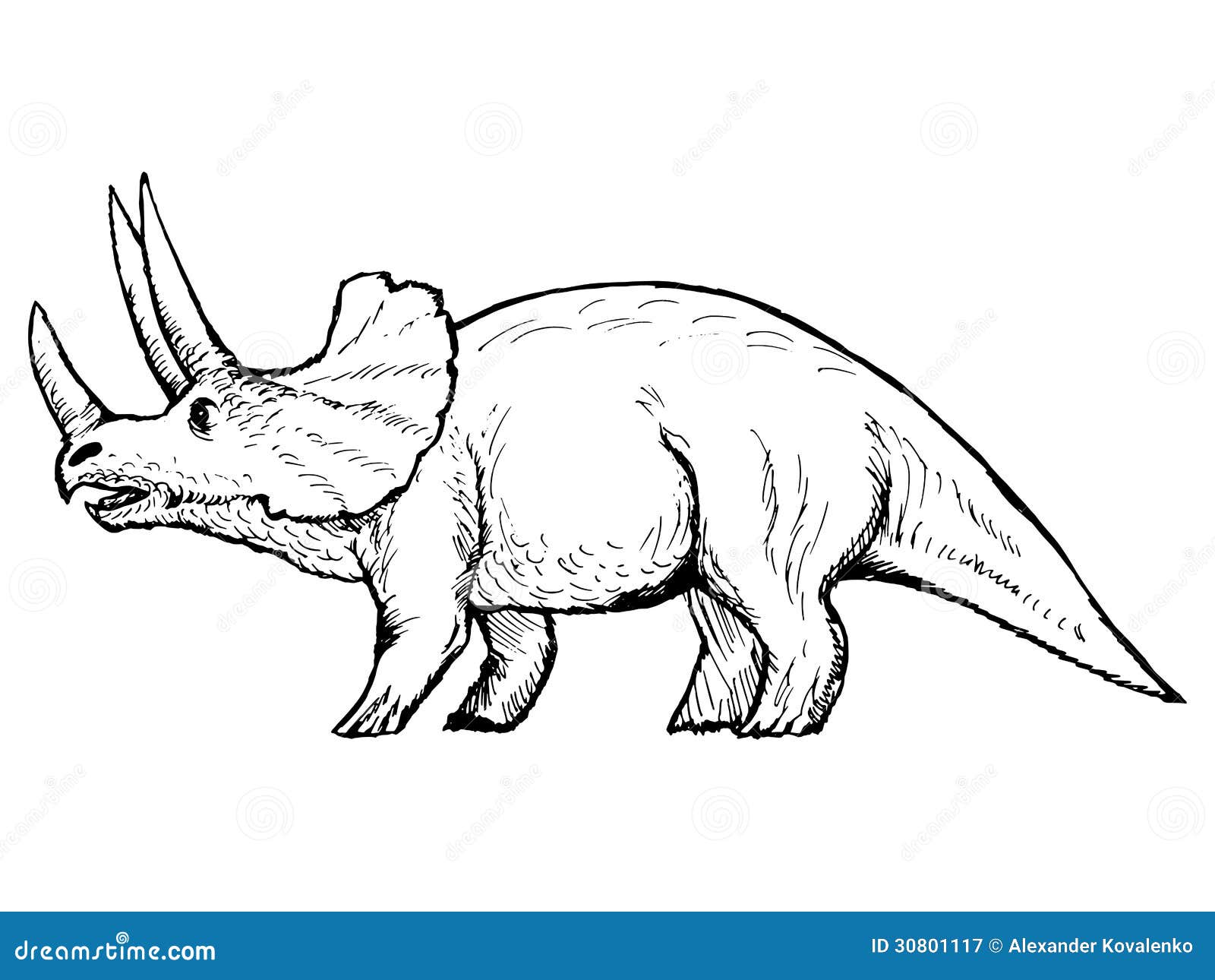 triceratops hand drawn sketch illustration 30801117