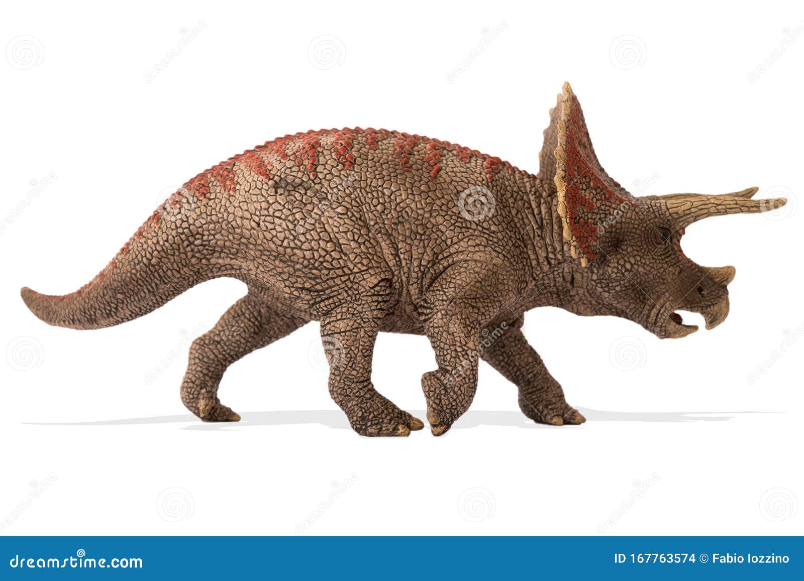 triceratops isoliert auf weissem hintergrund seitenansicht stockfoto bild von baumuster bild 167763574