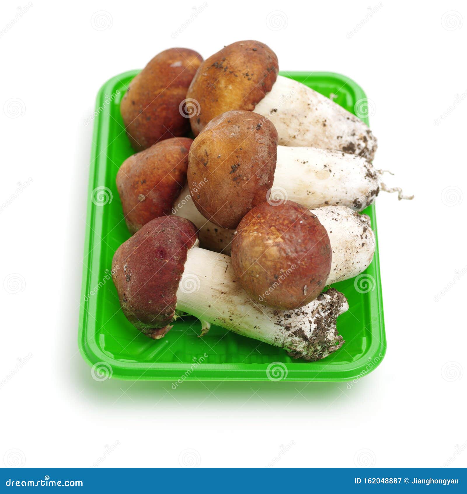 Tricholoma matsutake stockbild. Bild von frisch, studio 162048887