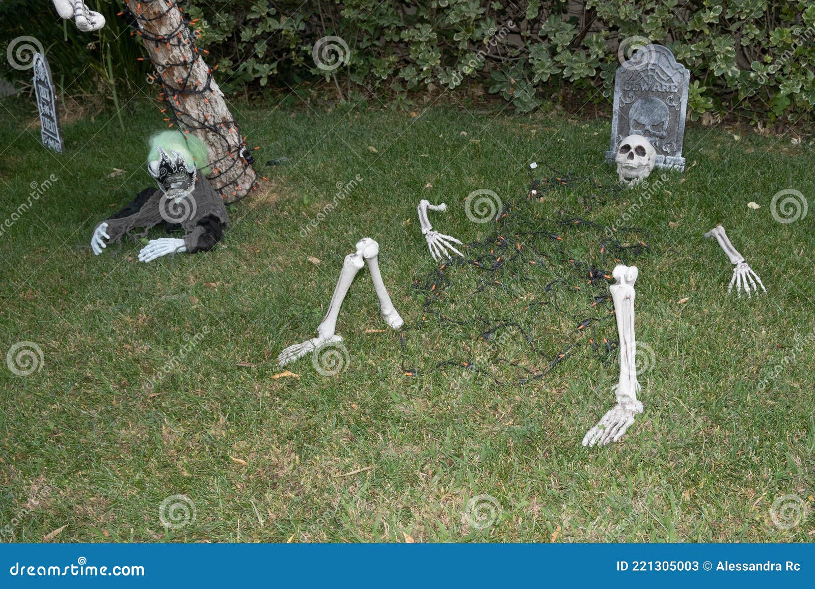 trick or treat, home decorated for halloween