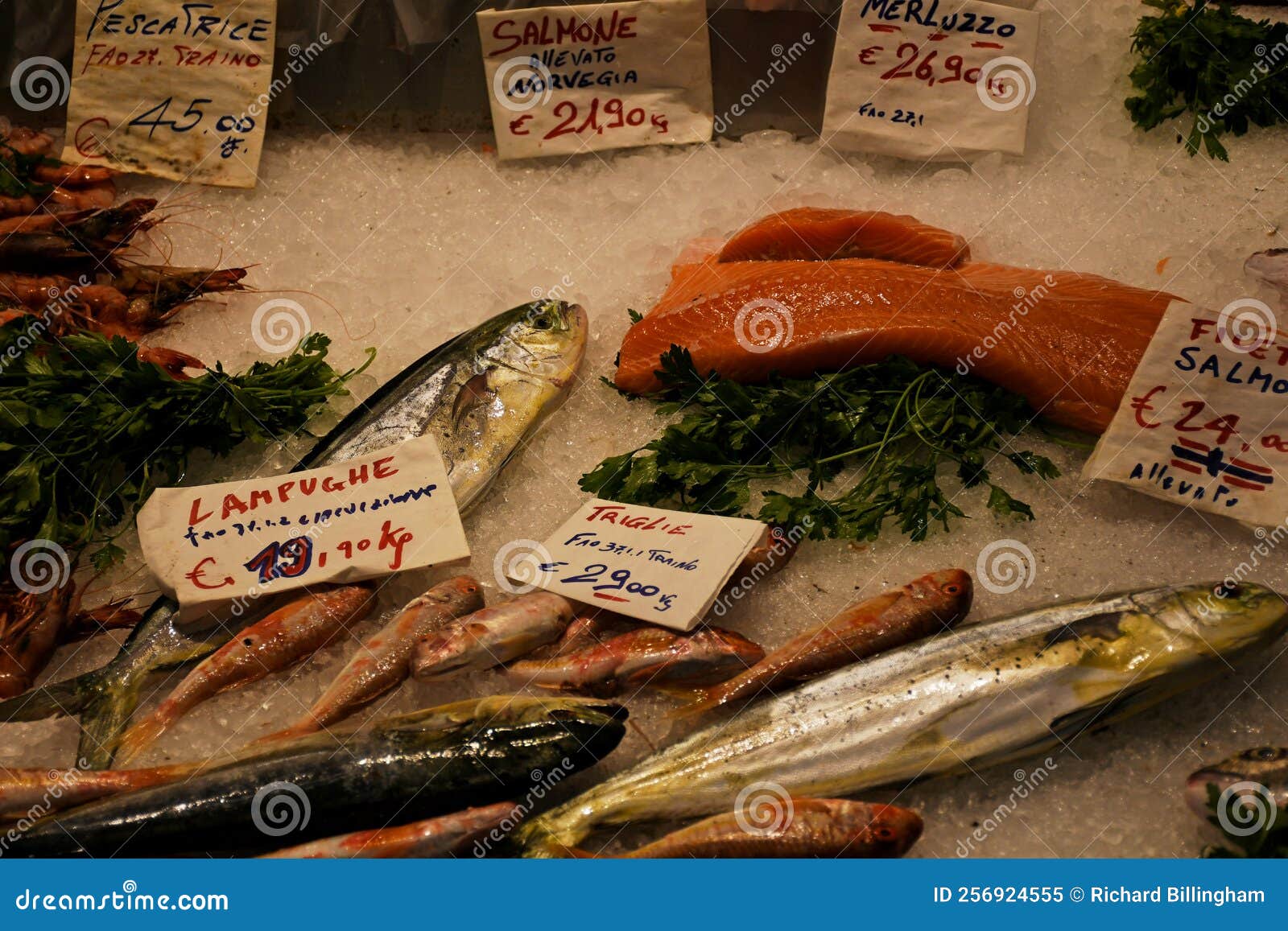 triglie - mullet,  salmon, merluzzo - cod, lampughe, mercato orientale, genoa, italy