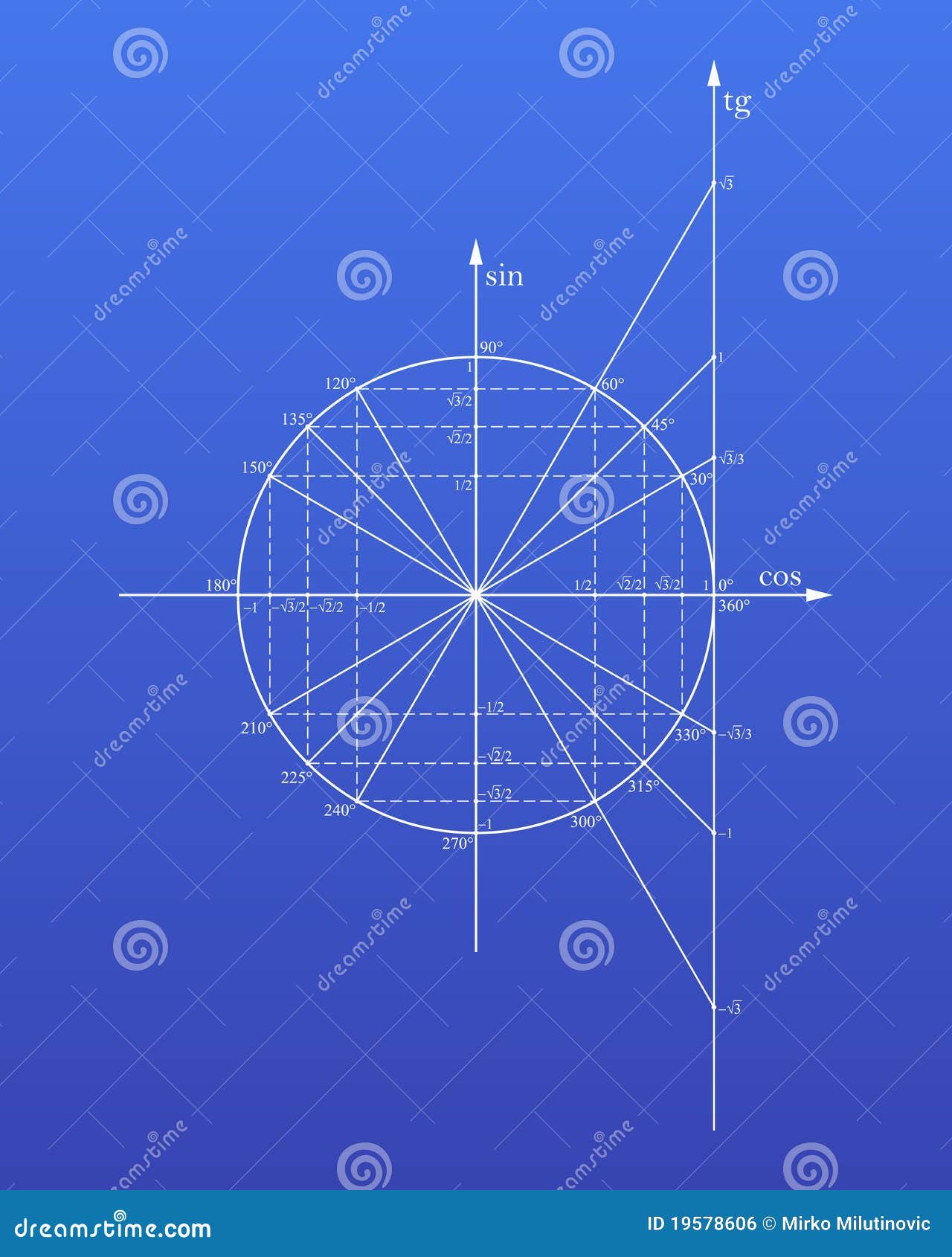 download bone densitometry in clinical practice