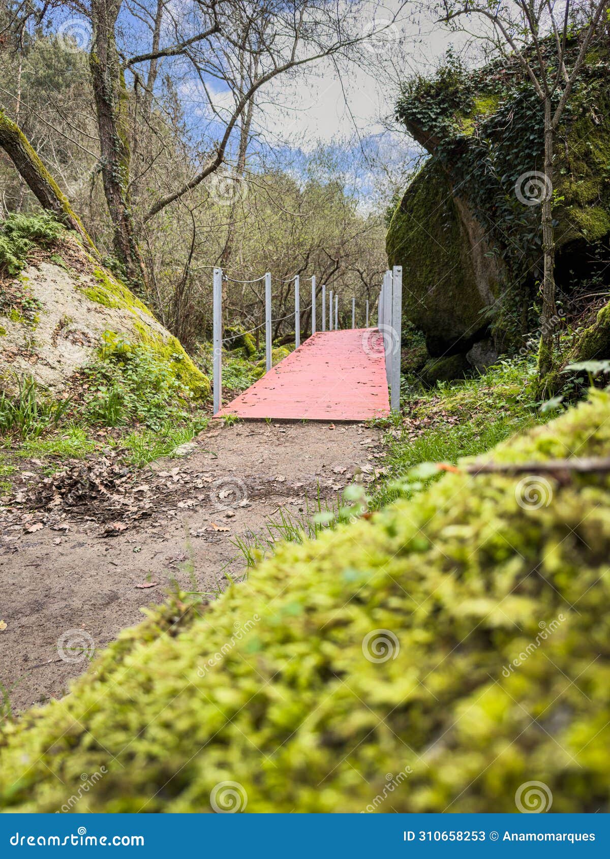 trilho dos gaios. walkways along the cavalos river in tabua, coimbra, portugal