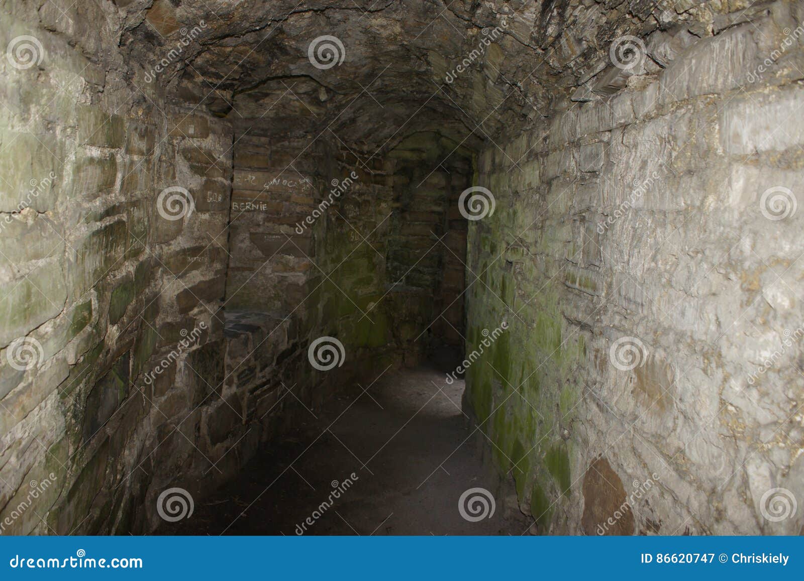 trim castle tunnel