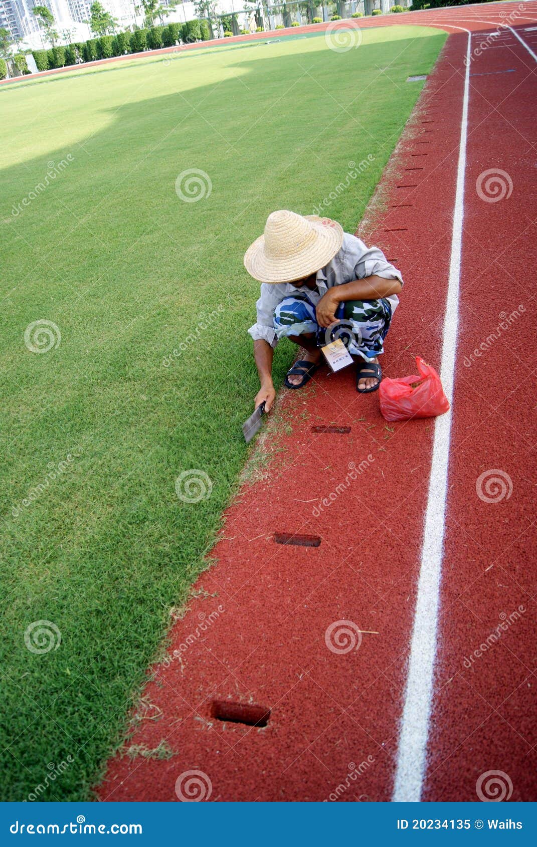 Trim the stadium lawn editorial image. Image of travel 20234135