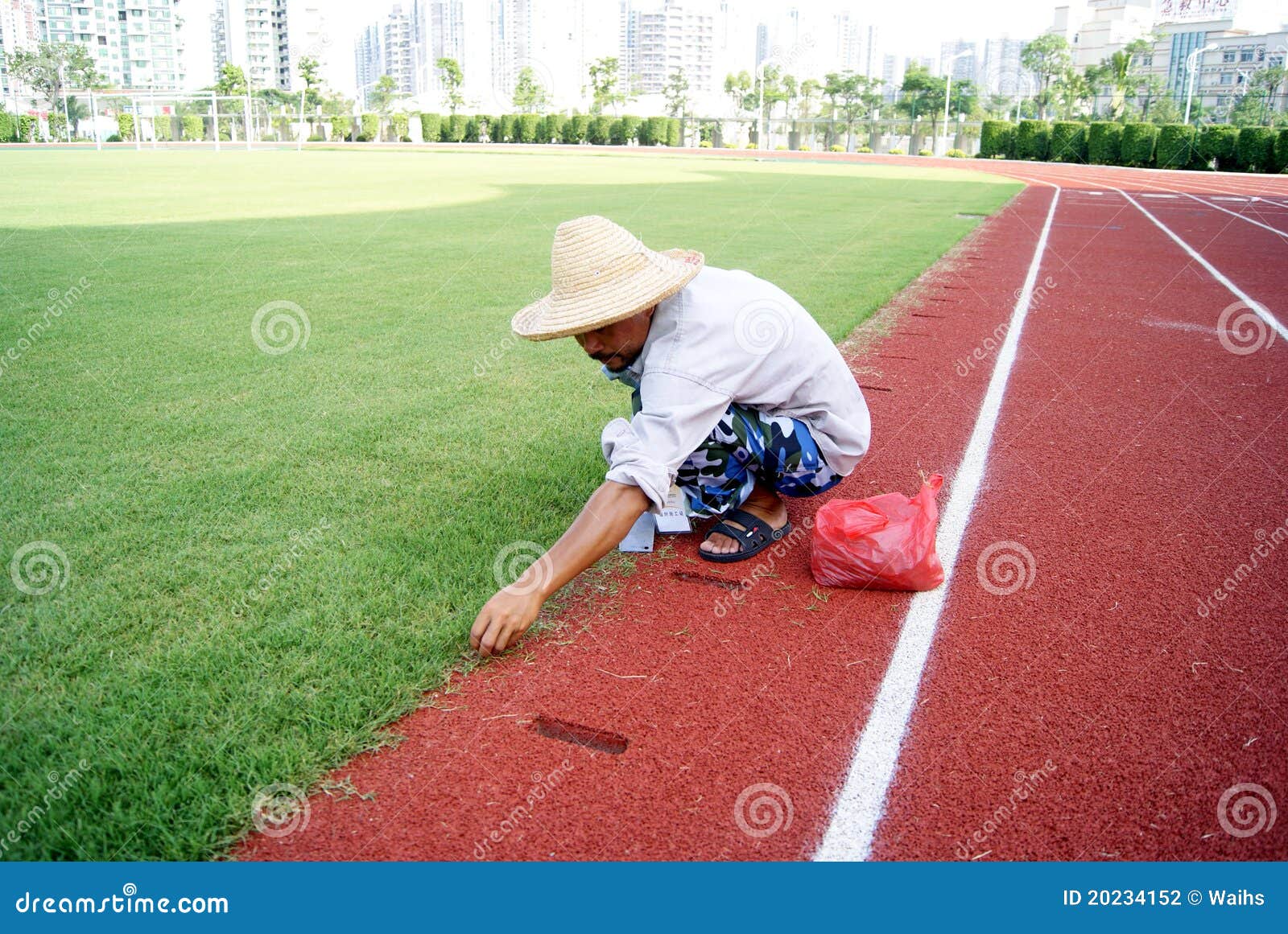 Trim the stadium lawn editorial photography. Image of project 20234152