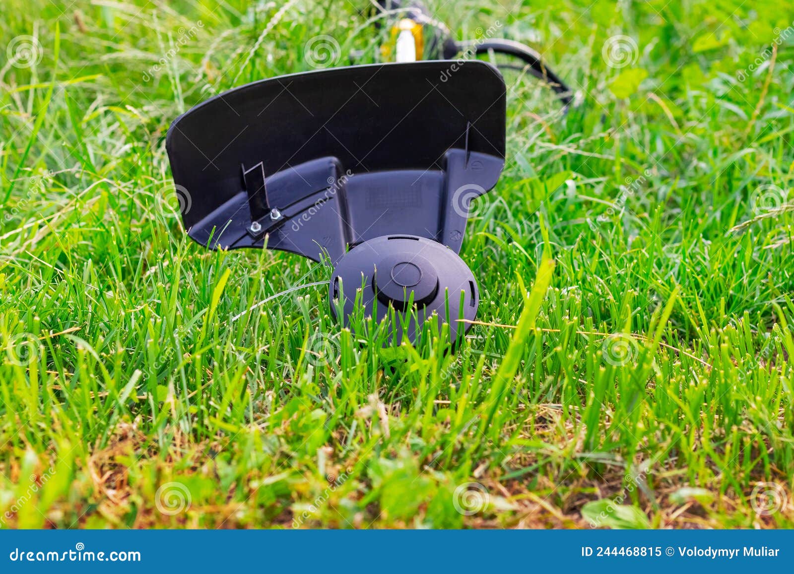 Trimmer for Mowing the Grass in the Garden among the Thick Grass Stock