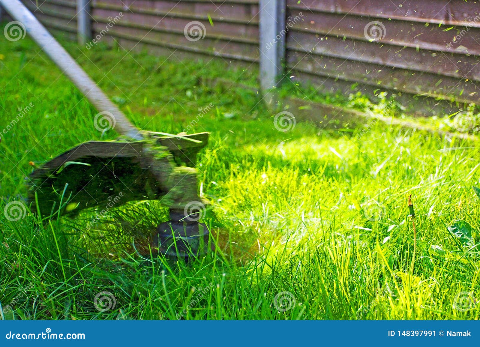 Trimmer Mows the Grown Grass on the Lawn, Against the Sun, Stock Image Image of cleaning