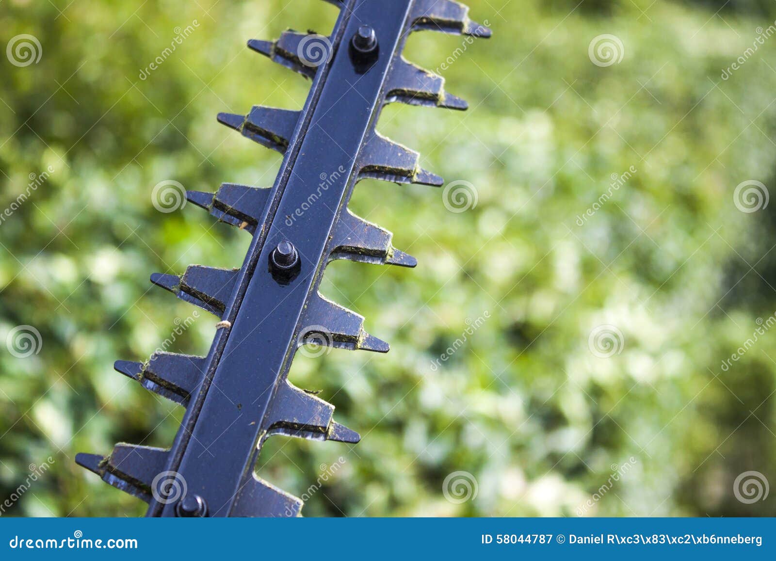 bush trimmer bush trimmer