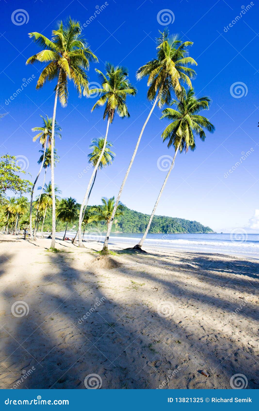 Trinidad stock image. Image of central, bays, coast, calmness - 13821325