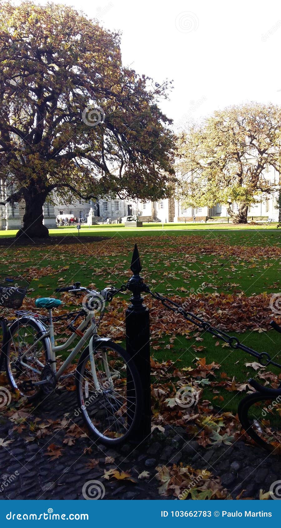 trinity college - dublin ireland - central area