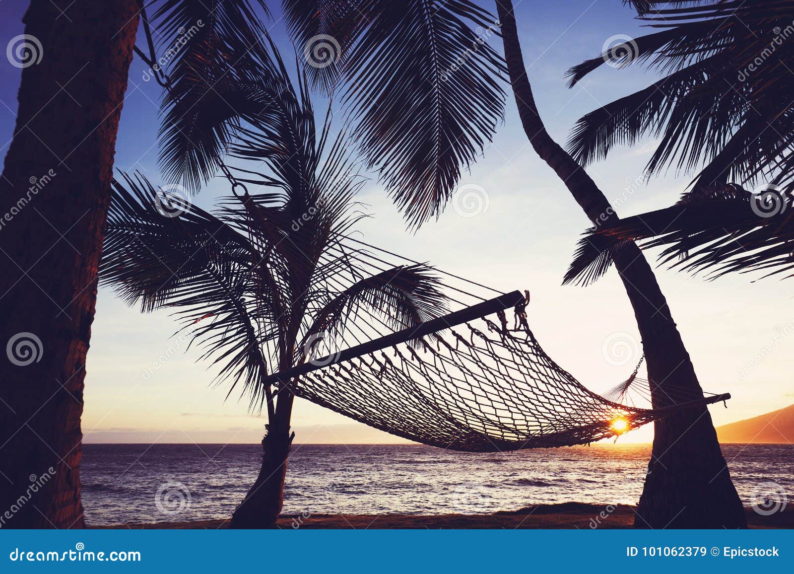 Tripical hammock at sunset stock image. Image of hawaii 101062379