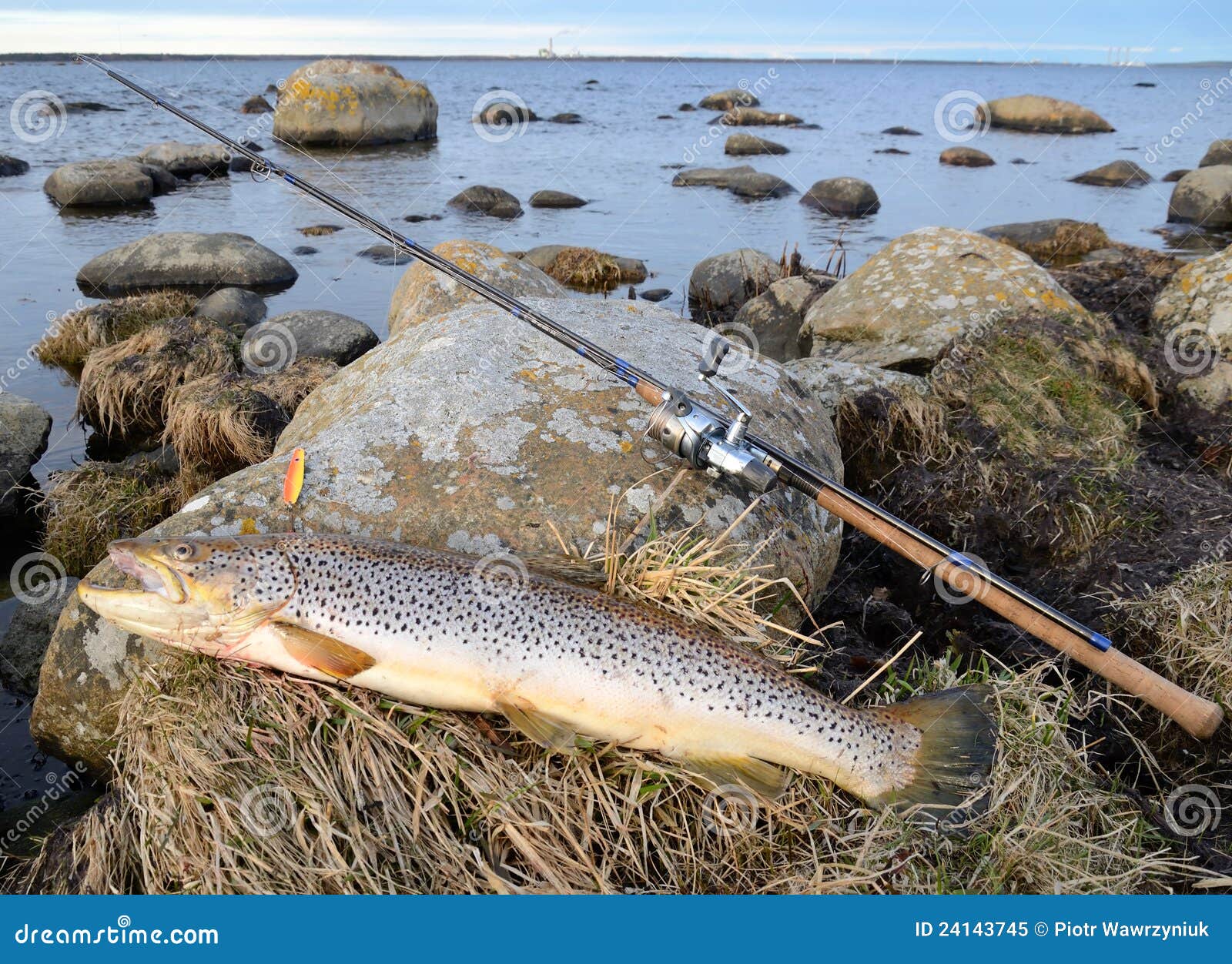 Fladen Nordingen, Freccia Per Trote Di Mare In Sei Colori E Pesi Da 7 G (45 Mm) Fino A 30 G (75 Mm) (blu-giallo-rosso, 24 G - Foto 10