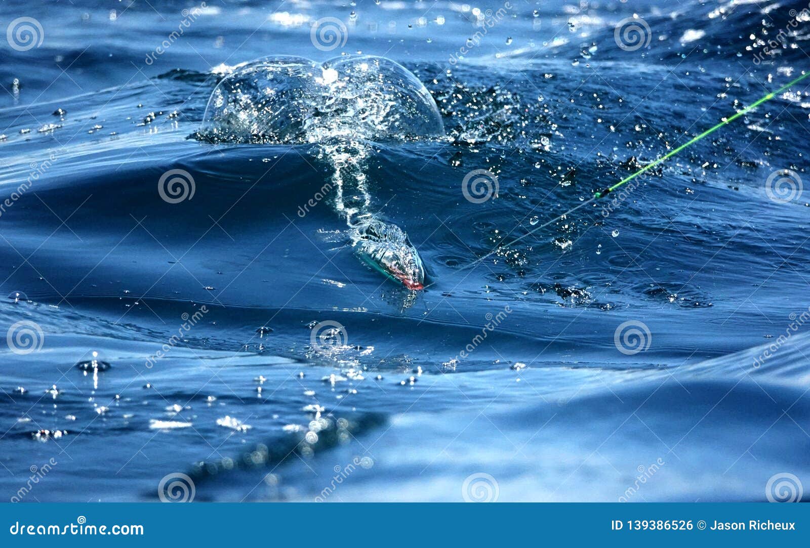 https://thumbs.dreamstime.com/z/trolling-lure-sportfishing-dragging-making-bubbles-sport-fishing-costa-rica-nice-deep-blue-water-139386526.jpg