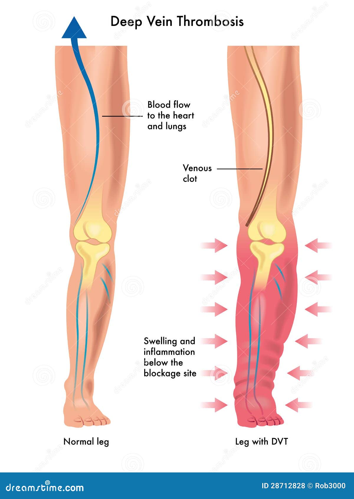 download Children's Orthopaedics