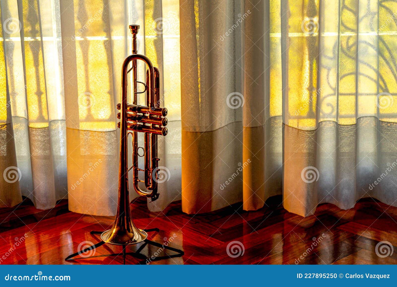 trompeta plateada