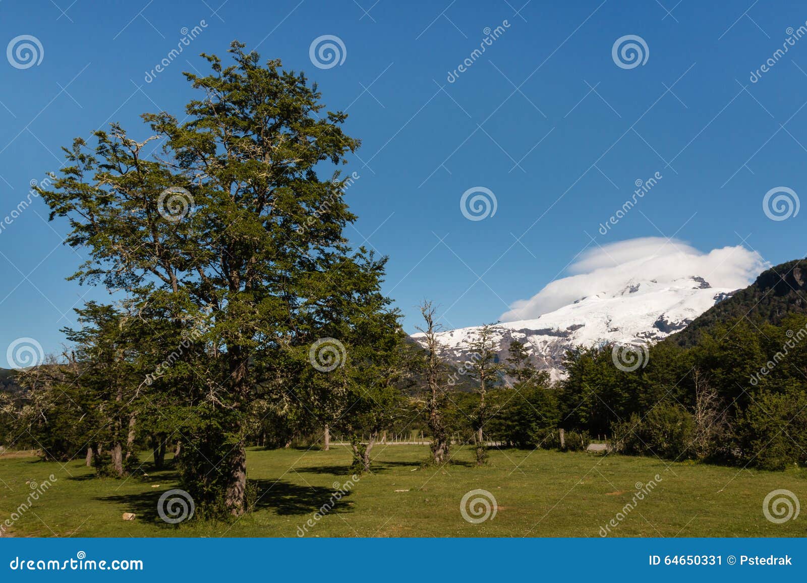 tronador mountain in southern andes