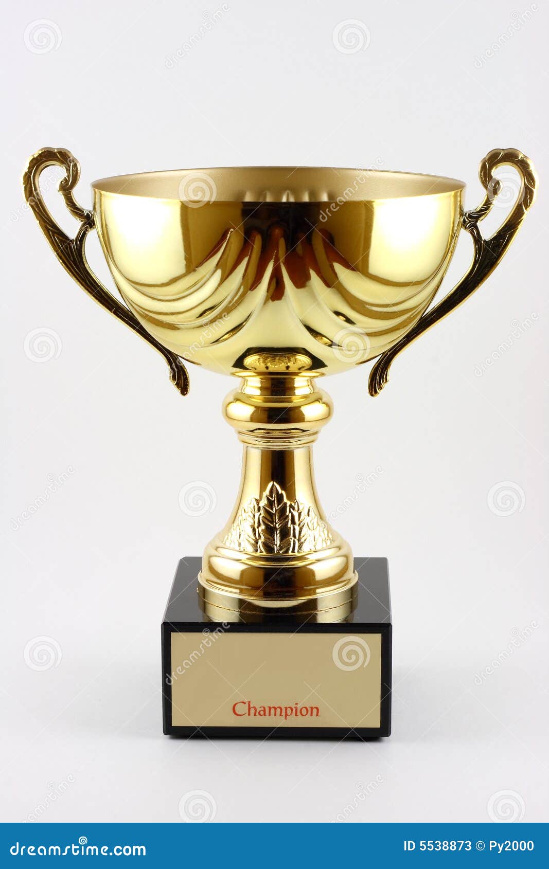 Trophy stock image. Image of challenge, heavy, champion - 5538873