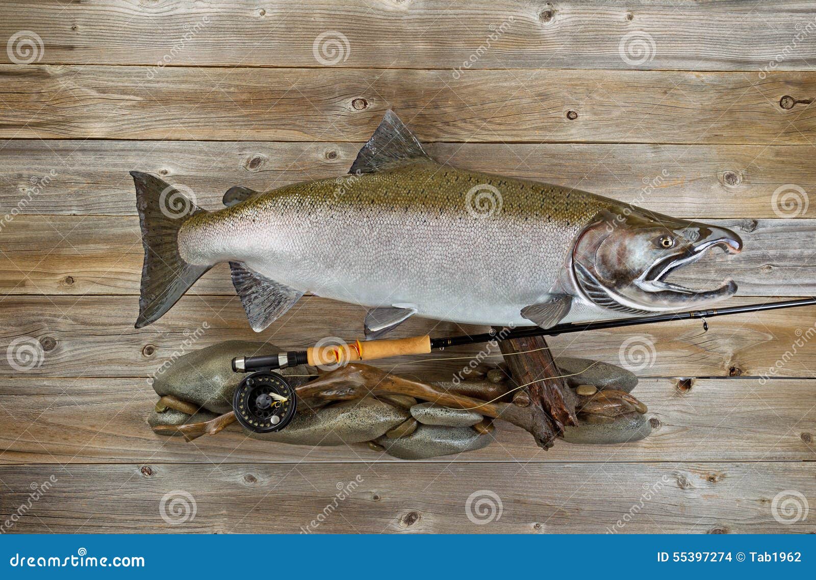Trophy Salmon with Fishing Gear on Rustic Wood Stock Photo - Image