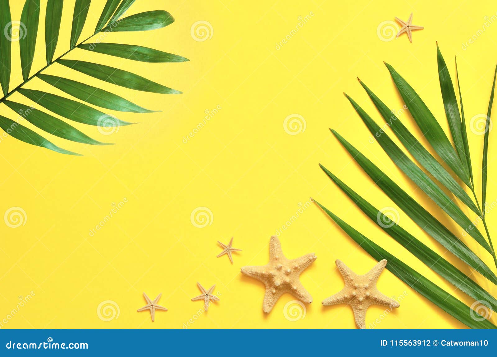 palm trees image with copy space