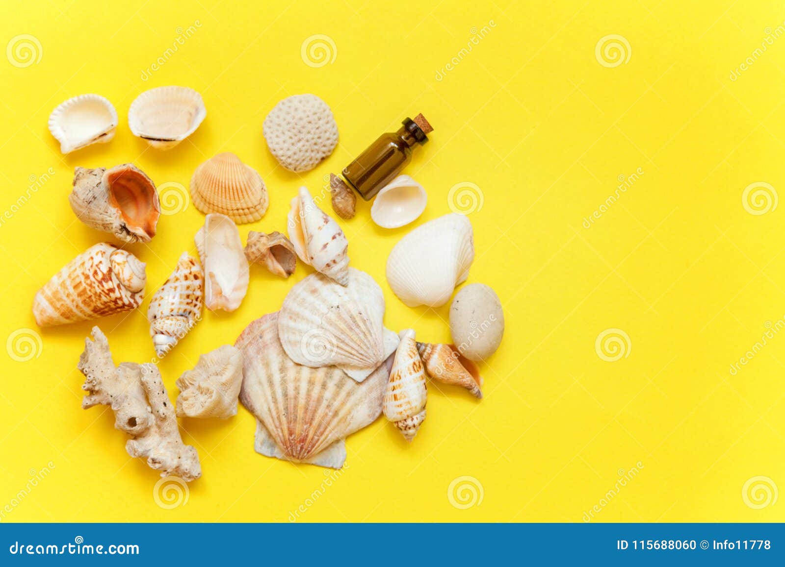 Download Seashells And Glass Bottle On A Yellow Background Stock Photo Image Of Seascape Starfish 115688060 Yellowimages Mockups