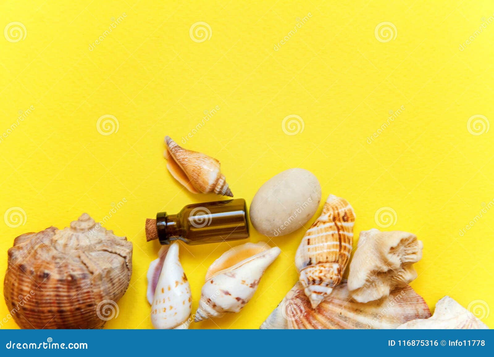 Seashells And Glass Bottle On A Yellow Background Stock Photo Image Of Sand Summer 116875316